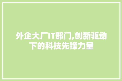 外企大厂IT部门,创新驱动下的科技先锋力量