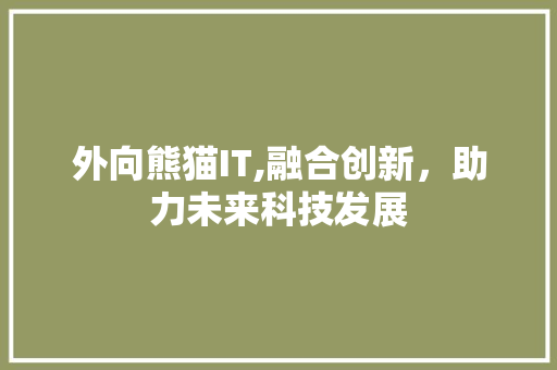 外向熊猫IT,融合创新，助力未来科技发展