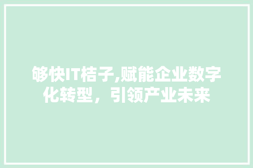够快IT桔子,赋能企业数字化转型，引领产业未来 网站开发