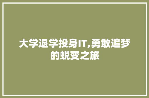 大学退学投身IT,勇敢追梦的蜕变之旅 百度算法