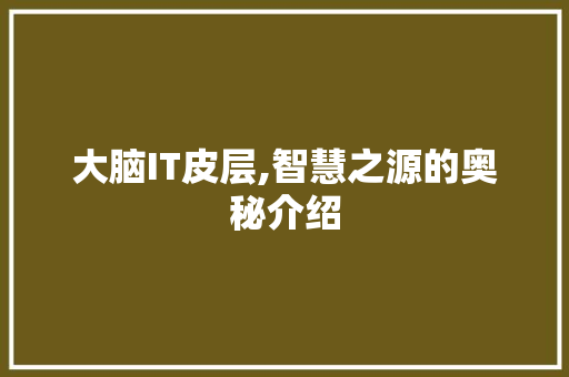 大脑IT皮层,智慧之源的奥秘介绍 头条优化