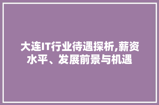 大连IT行业待遇探析,薪资水平、发展前景与机遇
