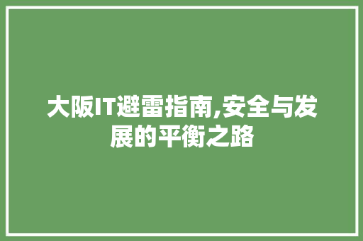 大阪IT避雷指南,安全与发展的平衡之路 网站优化