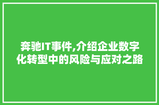 奔驰IT事件,介绍企业数字化转型中的风险与应对之路 seo技术