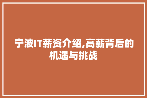 宁波IT薪资介绍,高薪背后的机遇与挑战 小程序开发