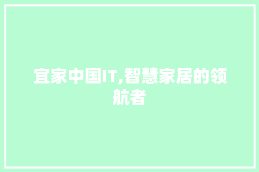 宜家中国IT,智慧家居的领航者