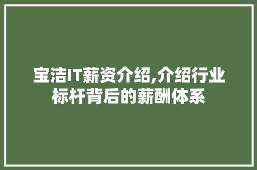 宝洁IT薪资介绍,介绍行业标杆背后的薪酬体系 seo技术