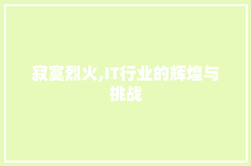 寂寞烈火,IT行业的辉煌与挑战 网站优化 寂寞烈火,IT行业的辉煌与挑战 网站优化