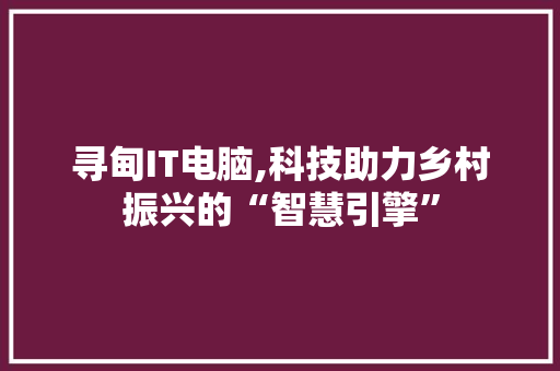 寻甸IT电脑,科技助力乡村振兴的“智慧引擎”