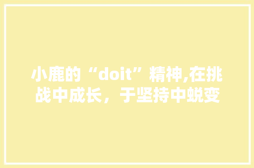 小鹿的“doit”精神,在挑战中成长，于坚持中蜕变 网站优化