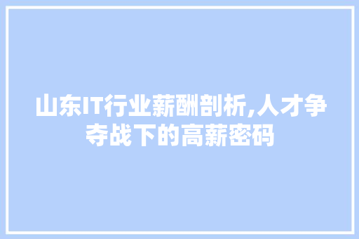 山东IT行业薪酬剖析,人才争夺战下的高薪密码