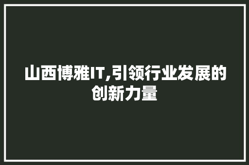 山西博雅IT,引领行业发展的创新力量