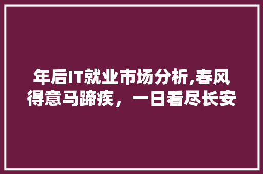 年后IT就业市场分析,春风得意马蹄疾，一日看尽长安花 seo技术