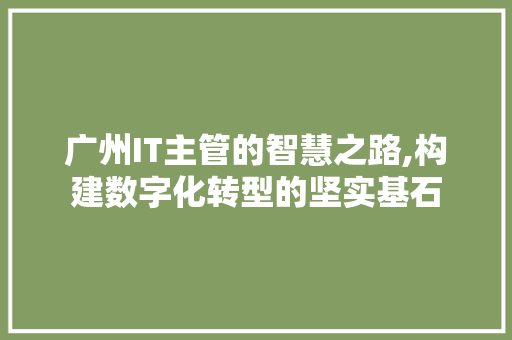 广州IT主管的智慧之路,构建数字化转型的坚实基石
