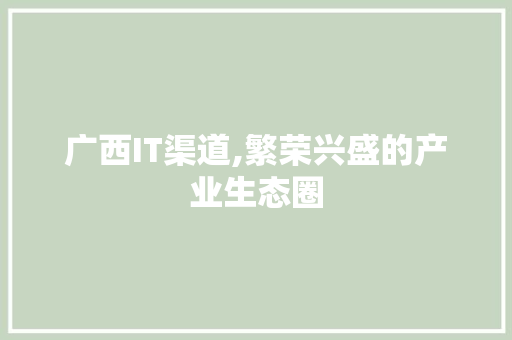 广西IT渠道,繁荣兴盛的产业生态圈