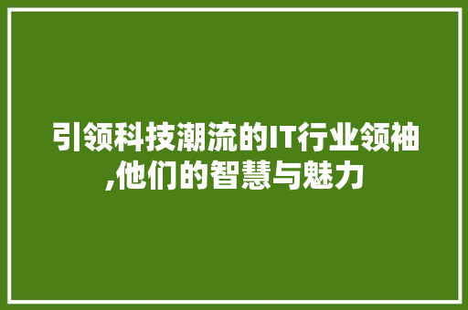 引领科技潮流的IT行业领袖,他们的智慧与魅力