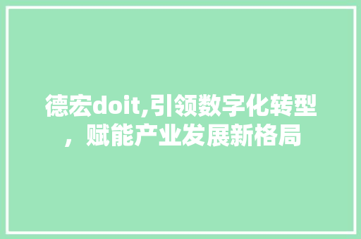 德宏doit,引领数字化转型，赋能产业发展新格局 头条优化