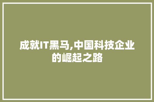 成就IT黑马,中国科技企业的崛起之路