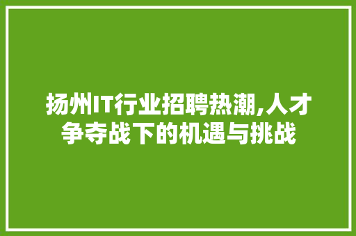扬州IT行业招聘热潮,人才争夺战下的机遇与挑战 网站开发