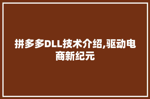 拼多多DLL技术介绍,驱动电商新纪元 英文谷歌算法