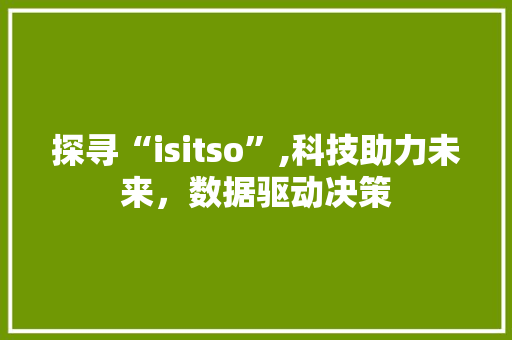 探寻“isitso”,科技助力未来，数据驱动决策 搜狗优化