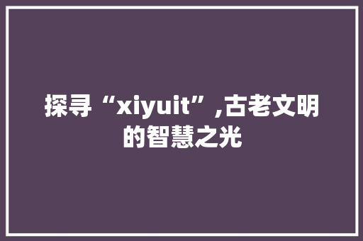 探寻“xiyuit”,古老文明的智慧之光 网站开发