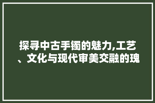 探寻中古手镯的魅力,工艺、文化与现代审美交融的瑰宝