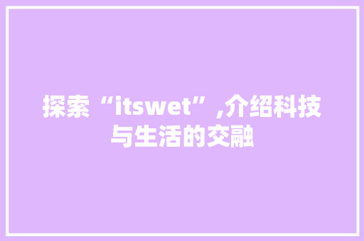 探索“itswet”,介绍科技与生活的交融 网站开发