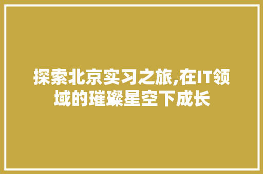 探索北京实习之旅,在IT领域的璀璨星空下成长