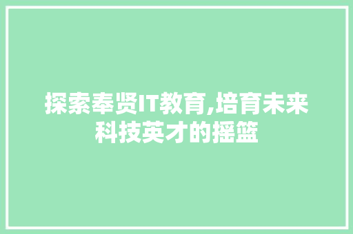 探索奉贤IT教育,培育未来科技英才的摇篮 360搜优化
