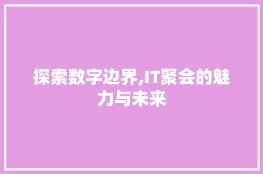探索数字边界,IT聚会的魅力与未来 网站优化
