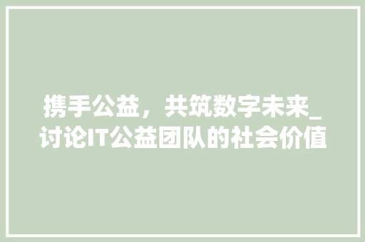 携手公益，共筑数字未来_讨论IT公益团队的社会价值