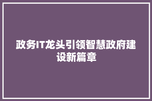 政务IT龙头引领智慧政府建设新篇章