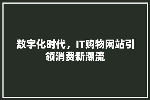 数字化时代，IT购物网站引领消费新潮流