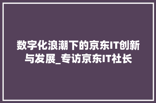 数字化浪潮下的京东IT创新与发展_专访京东IT社长 网站优化