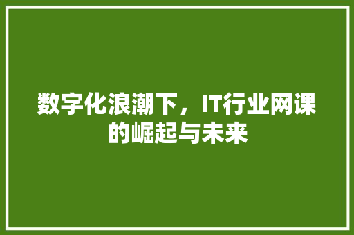 数字化浪潮下，IT行业网课的崛起与未来