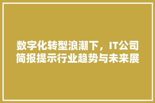 数字化转型浪潮下，IT公司简报提示行业趋势与未来展望 头条优化