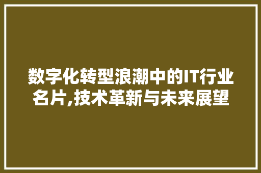 数字化转型浪潮中的IT行业名片,技术革新与未来展望 英文谷歌算法