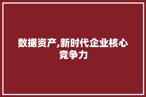 数据资产,新时代企业核心竞争力