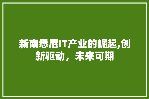 新南悉尼IT产业的崛起,创新驱动，未来可期