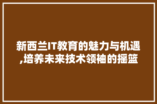 新西兰IT教育的魅力与机遇,培养未来技术领袖的摇篮