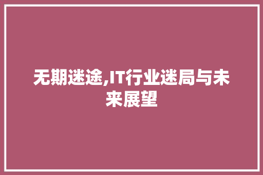 无期迷途,IT行业迷局与未来展望 网站优化