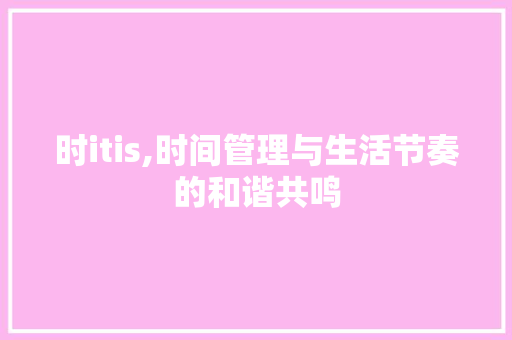 时itis,时间管理与生活节奏的和谐共鸣 小程序开发
