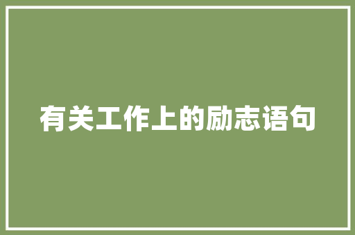 时尚与适用的完美融合_IT女装介绍报告