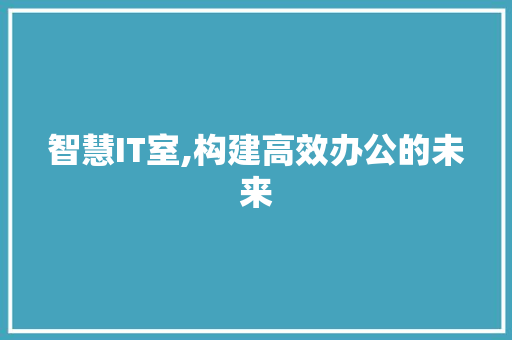 智慧IT室,构建高效办公的未来 网站开发