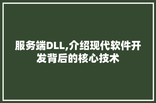 服务端DLL,介绍现代软件开发背后的核心技术