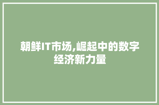 朝鲜IT市场,崛起中的数字经济新力量 360搜优化