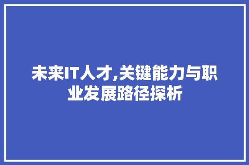未来IT人才,关键能力与职业发展路径探析 网站开发