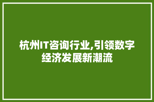 杭州IT咨询行业,引领数字经济发展新潮流 搜狗优化