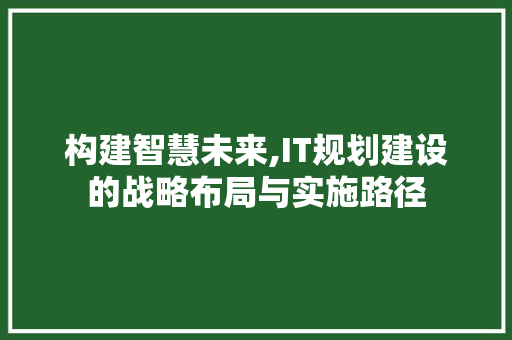 构建智慧未来,IT规划建设的战略布局与实施路径 搜狗优化
